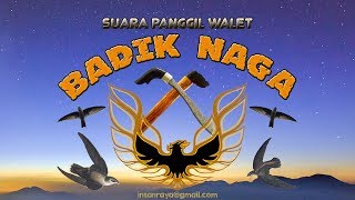 Download lagu BADIK NAGA Suara Panggil Walet Terbaru April 2019 mp3