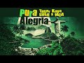 Taner Kaya, SUER, MCA - Pura Alegria (Official Canvas Video)