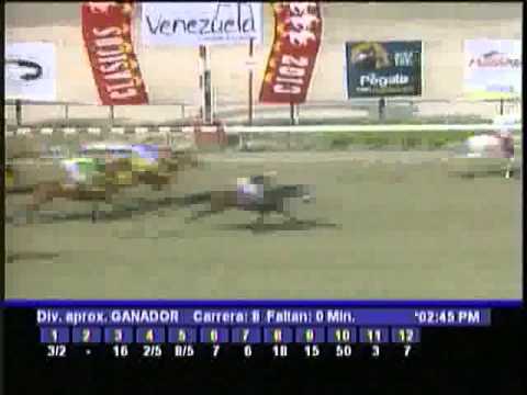 Resumen Domingo, 24 de Marzo de 2013 - La Rinconada