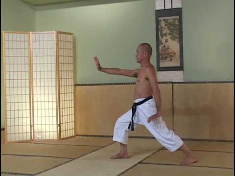 INSIDE THE ART OF GOJU RYU with Teruo Chinen