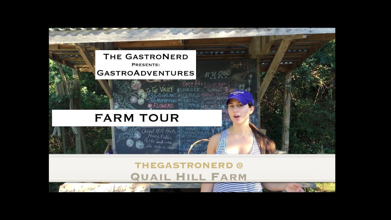Farm Tour: Join a CSA