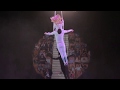 Aerial Duo Straps