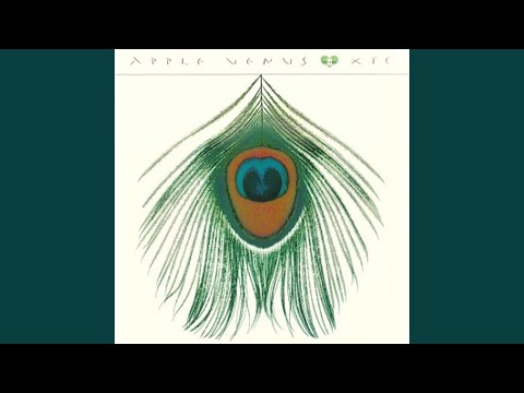 Video thumbnail for River of Orchids