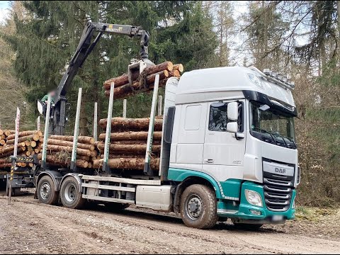DAF - XF 510 FAN 6x4, Hydrodrive, Lift-/Lenkachse, Heckkran Epsilon M12Z91, Teil2