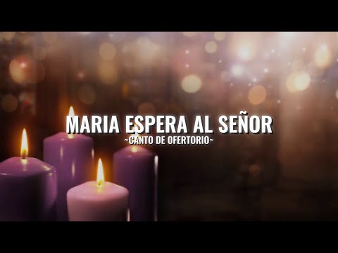 Maria espera al señor || Canto de ofertorio || Adviento || Letra y acordes (COVER)