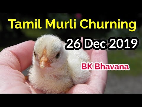 Tamil murli Churning 26 Dec 2019 - BK Bhavana