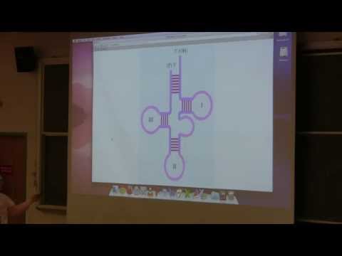 Ahern's BB 350 at OSU - 15. DNA Replication