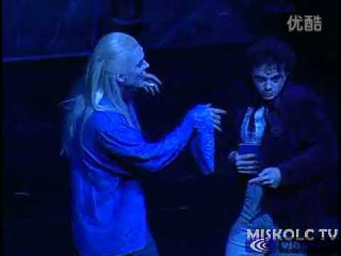 Wenn Liebe In Dir Ist/Ha szeret a szíved - Tanz der Vampire/ Vámpírok Bálja - Máté Kamarás