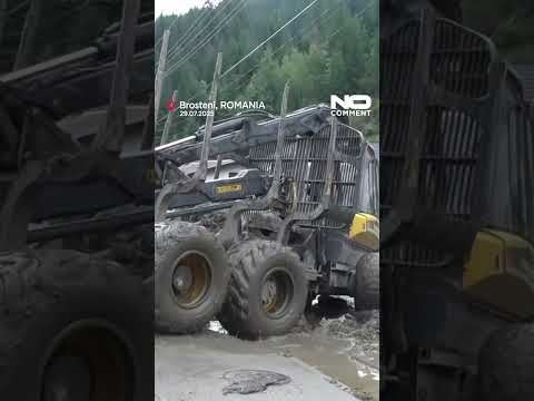 Emergency response underway after deadly floods in Romania #nocomment #shorts #youtubeshorts