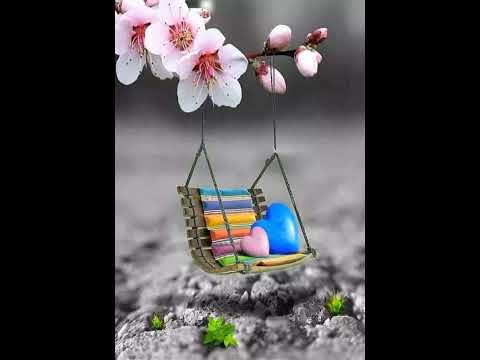 sinan ceceli ve ece seçkin (ol lal la)