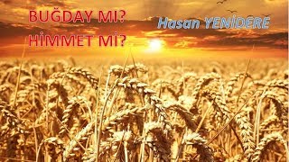 Hasan Yenidere - Buğday mı, Himmet mi