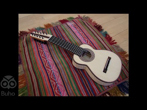 Inkuyo  Huari Vicuña  Window to the Andes