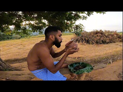 Elephants came to my field | පැල් ගියා මචං අලි එලවන්න | veddaa