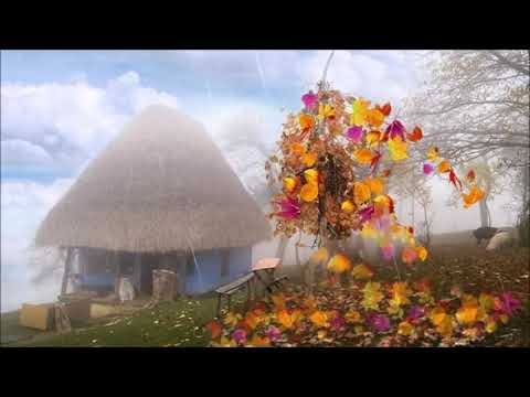 CÂT TRĂIM PE-ACEST PĂMÂNT-Alex Calancea Band, Ştefănel Albu şi Scoala de arte "Alexei Stârcea"