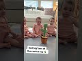 Cactus Toy