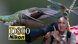 Nikon D800 & 200-500mm lens - all F mount DSLR magic. Hummingbirds and Dragonflies in flight!