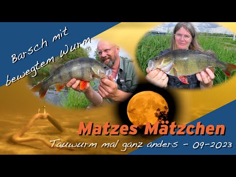 Matze Koch: Tauwurm mal ganz anders - Matzes Mätzchen 09-2023