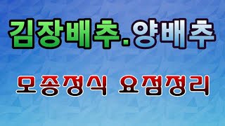 [텃밭농부.747]  김장배추. 양배추 모종정식 요점정리 #김장배추재배 #양배추재배