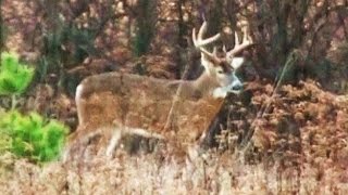 2015 Pennsylvania Deer Hunting Rifle Season Part 2 of 2