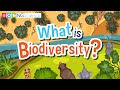 What Is Biodiversity