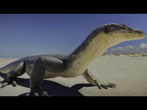 Amazing Dinoworld [2019] - Protomosasaurus Screen Time