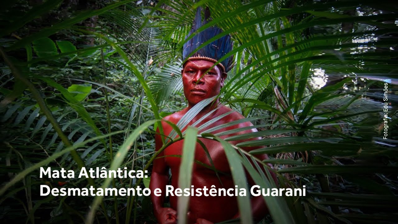 Mata Atlântica: Desmatamento e Resistência Guarani