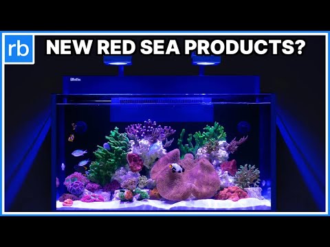 New Red Sea G2 Line - Better Than G1?!