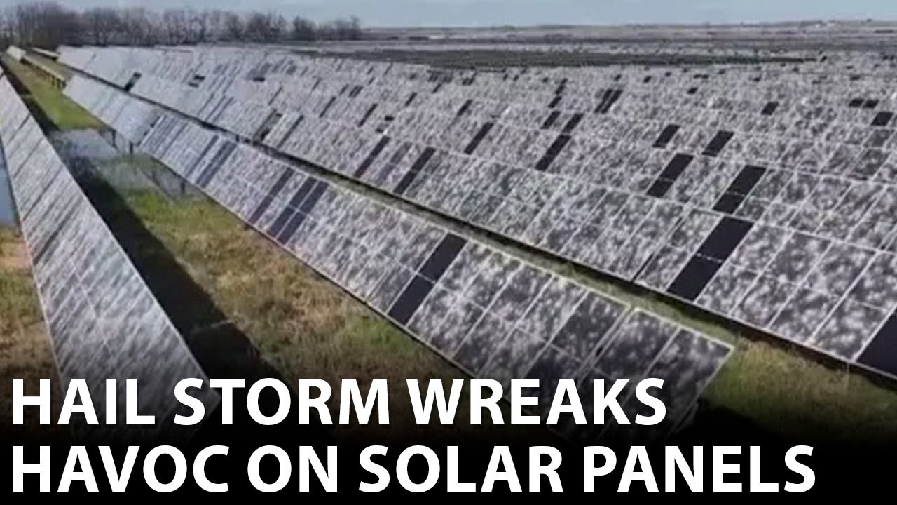 youtube video id=rVaq3a-z9iU