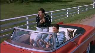 Martin &amp; Lewis - A Day in the Country