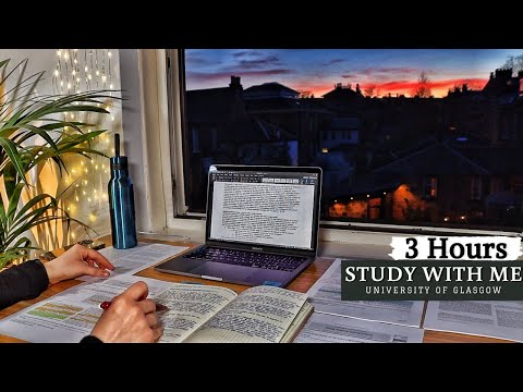 3 HOUR STUDY WITH ME | Golden SUNSET, Background noise, 10-min break, No Music