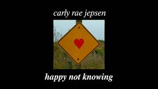 carly rae jepsen - happy not knowing (tradução)