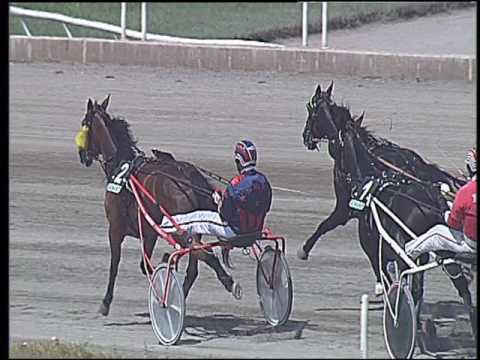 Trotto 11/06/2016 - 1° corsa