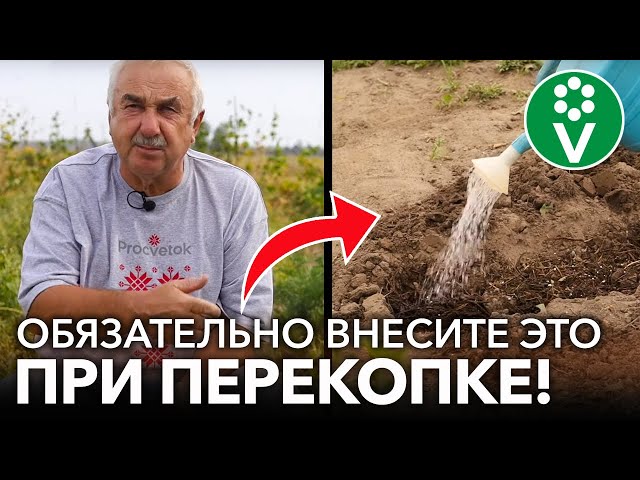 ЧТО ДОБАВИТЬ ПРИ ПЕРЕКОПКЕ ПОЧВЫ ОСЕНЬЮ, чтобы повысить плодородие и отпугнуть вредителей