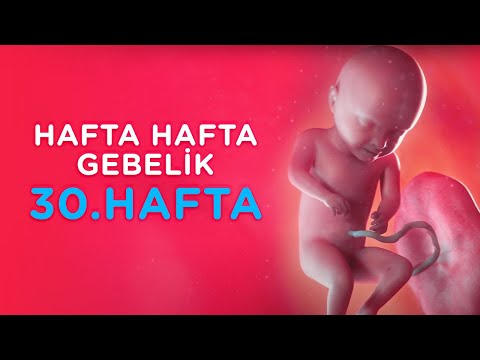 Hamilelikte 30. Hafta - Hafta Hafta Gebelik | İlk Adımlarım