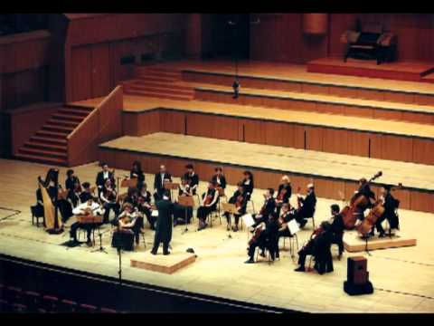 The Beatles-Fool on the Hill-Two Guitars-Orchestra-E.Boudounis - M.Razi-La Camerata-MEGARON LIVE