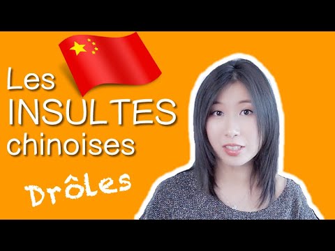 Les insultes drôles de la langue chinoise 用中文骂人精选