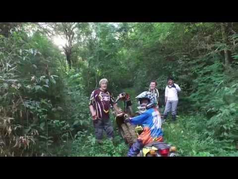 Sengés Trilha simples 10 2015