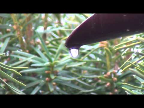 Raindrop Metronome 188 BMP - 1 Hour Continuously