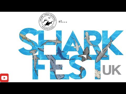 SharkFest UK 2018!
