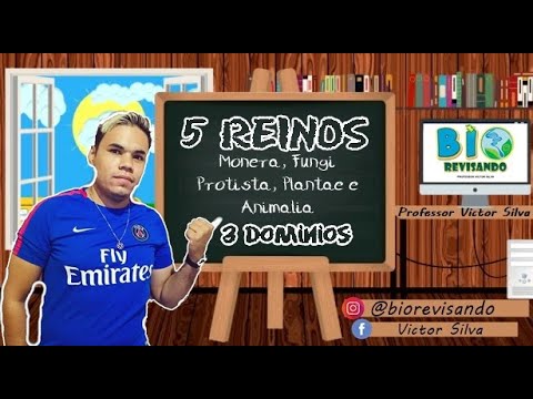 5 Reinos e 3 Dominios