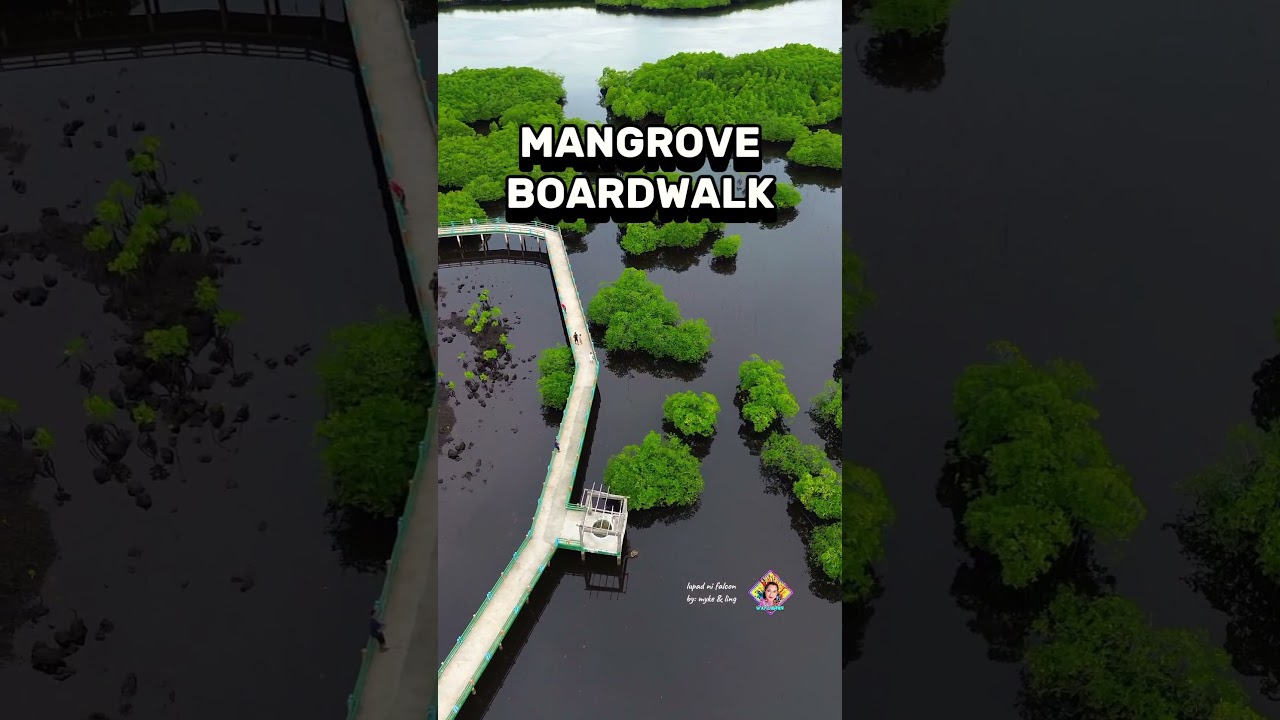 YouTube Short thumbnail