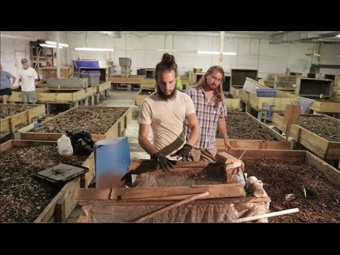 Tour a Commercial Worm Farm!