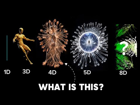 This Is What You Would Look Like in Higher Dimensions.... This is Really Terrifying