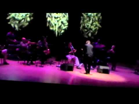 Nublu "İstanbul" Orchestra  / Butch Morris