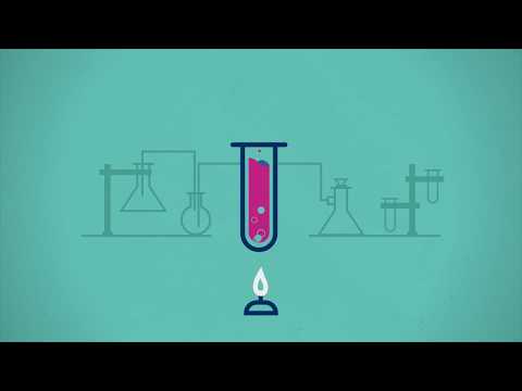 Video animado en stop motion para la Feria Científica Perú ConCiencia de CONCYTEC