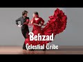 Behzad - Celestial Tribe