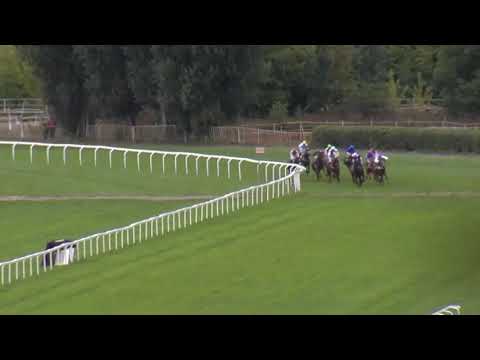 8. dostih - EJC CENA SPOLEČNOSTI FALCON SECURITY - Videozáznam Evropského poháru žokejů 2018