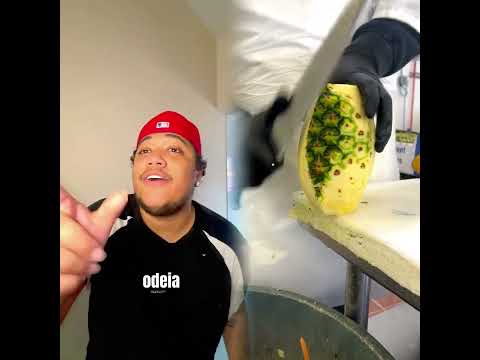 A MINHA CACHORRA ODEIA O FELCA! 🤬 #shorts - Ana Adati