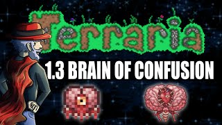 Brain of Confusion Terraria 1.3 item - EXPERT MODE DROP (Terraria item Tutorial)