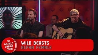 Wild Beasts - Alpha Female (minuut)